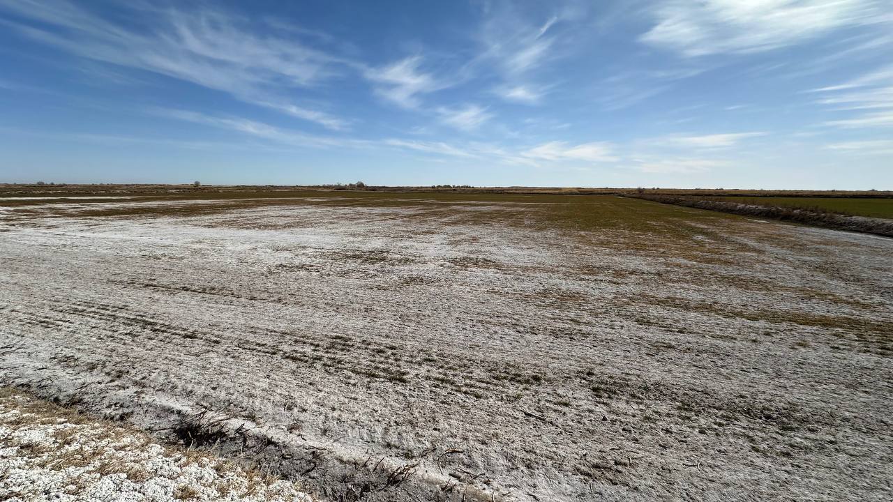 Dala yuzasiga qalqib chiqqan tuz, 2025-yil kuz.