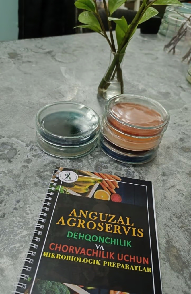 Чашки петри с разными средами для определения болезней